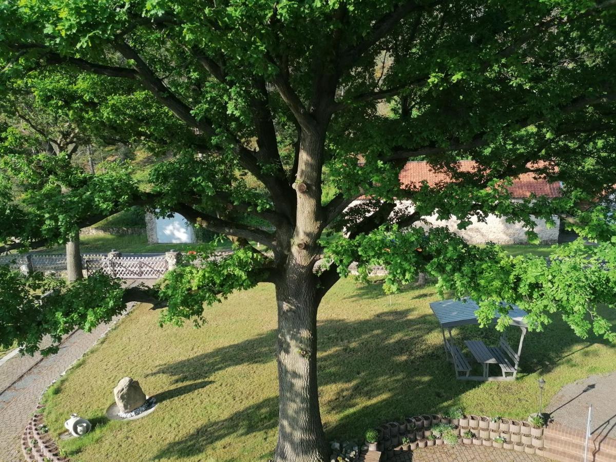 Pension Goldbachmuehle Blankenburg  Dış mekan fotoğraf